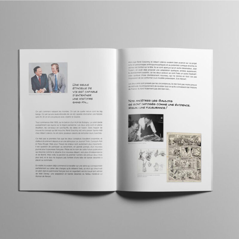 Asterix Art Strips Box Mockup Interieur 01 Les XII Art Strips d'Astérix - Livret - intérieur