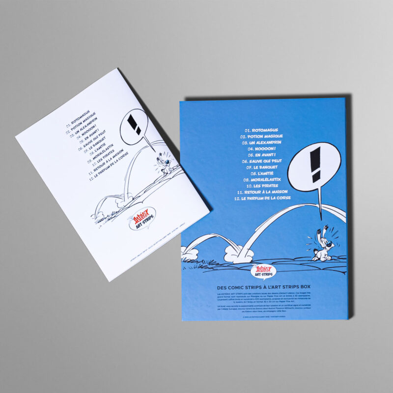 Les XII Art Strips Asterix Box Packshot Arriere Les XII Art Strips Asterix Box Packshot Arriere